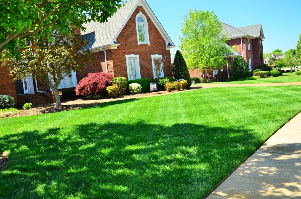 First Home Buyer